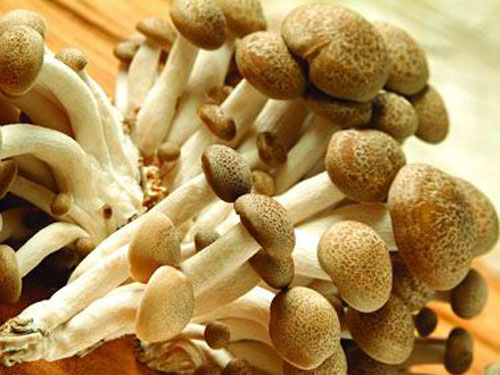 如何優(yōu)化食材農(nóng)產(chǎn)品的流通效率